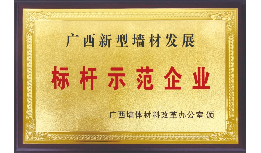 廣西新型墻材發(fā)展標(biāo)桿示范企業(yè)